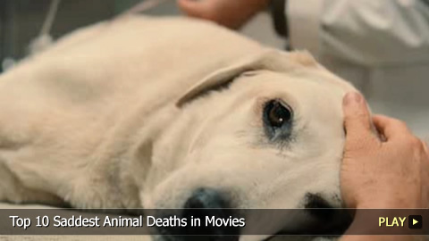 Top 10 Saddest Animal Deaths in Movies