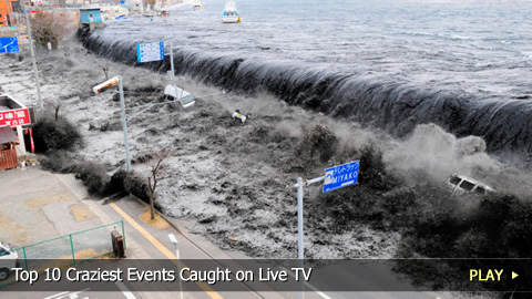 Top 10 Craziest Events Caught on Live TV