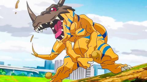 Top 10 Digimon Battles