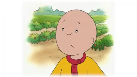 Top 10 Reasons Why Parents Find Caillou Annoying