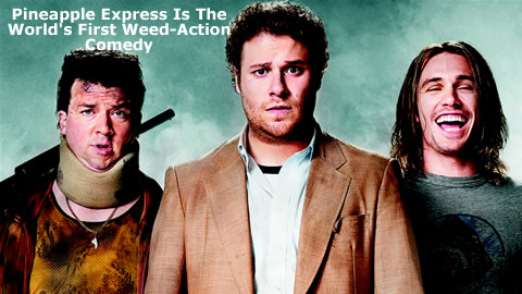 Pineapple Express: Meet The Creators