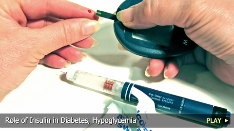 Role of Insulin in Diabetes, Hypoglycemia