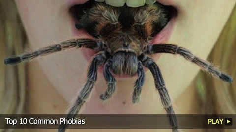 Top 10 Most Common Phobias