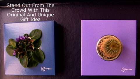 Original Gift Idea: The FlowerBox