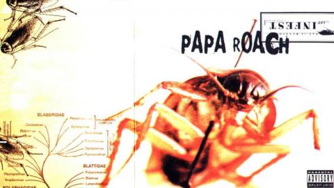 top ten  Papa Roach songs