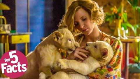 Top 5 Facts About “The Zookeeper's Wife”