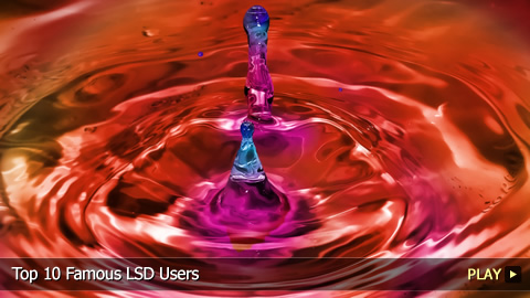 Top 10 Famous LSD Users