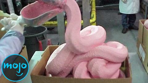 Top 10 Ingredients You Won't Believe Are in Your Everyday Food...but Sadly, They Are!