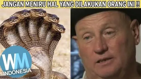 JANGAN DITIRU! Daftar 10 Rekor Dunia yang PALING BERBAHAYA Sepanjang Sejarah Manusia!