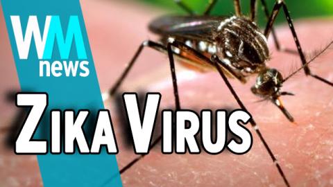 Top 10 Need To Know Zika Virus Facts 