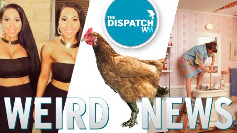 Partner Sharing Twins, Dino Legs & Exploding Toilets: The Dispatch Ep. 19