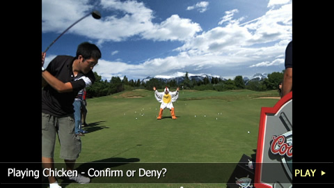 Playing Chicken - Confirm or Deny?