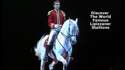 The World Famous Lipizzaner Stallions