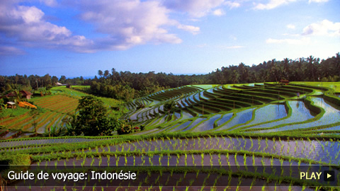 Guide de voyage: Indonésie