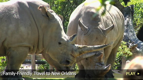 Family-Friendly Travel to New Orleans