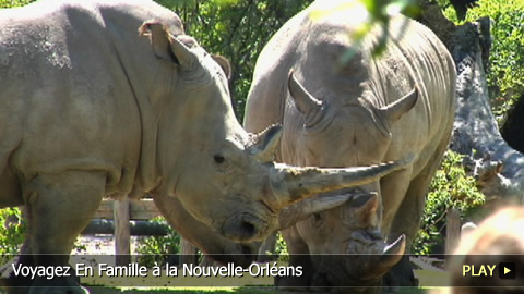 Voyagez En Famille à la Nouvelle-Orléans