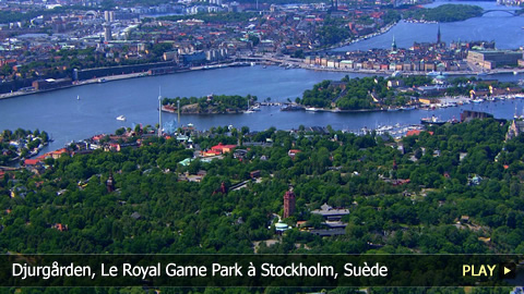 Djurgården, Le Royal Game Park à Stockholm, Suède