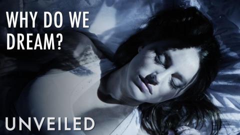 Trivia Game - Top 10 Movie Dream Projects