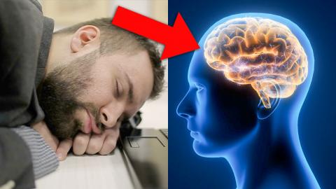 Top 10 Movies Involving Sleep Deprivation or Insomniacs