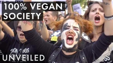 Trivia Game - Top 5 Reasons NOT to Go Vegan