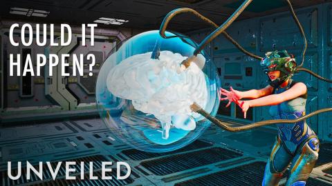 What If Humans Had Another Brain? | Unveiled