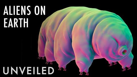 What If Tardigrades Are Alien Life Forms? | Unveiled