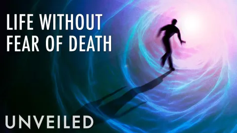 What If We Didn't Know We Were Going To Die? | Unveiled