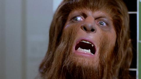 top 10 werewolf types in film and tv