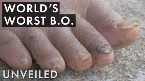 Trivia Game - Top 10 Car Wash Scene