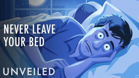What If You Stayed In Bed Forever?