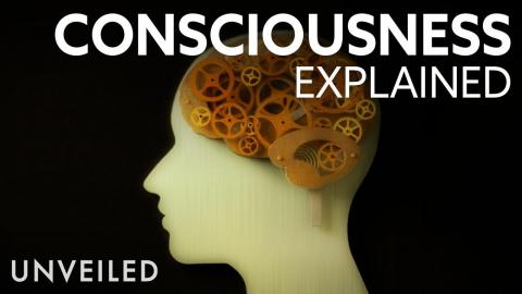 What is Consciousness? | Unveiled
