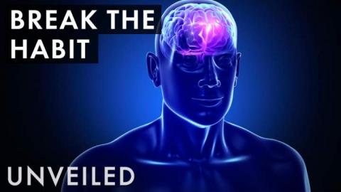 Trivia Game - Top 10 janes addiction songs