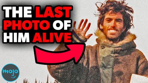 Trivia Game - Top 10 Wild Felines