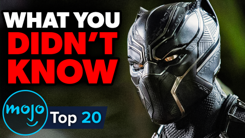 Top 10 Black Panther Facts