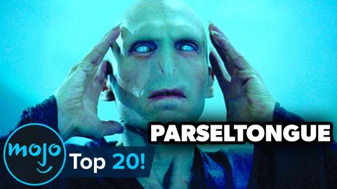 Trivia Game - The 10 best fictional bears