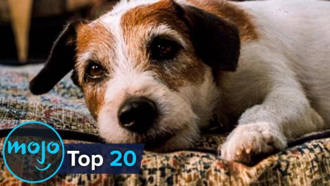 Top ten saddest animal deaths on film