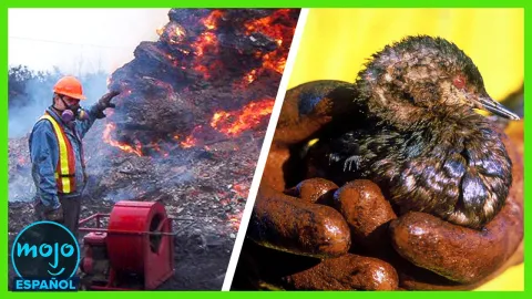 ¡Top 10 DESASTRES PROVOCADOS por el Hombre que Paralizaron al Mundo!