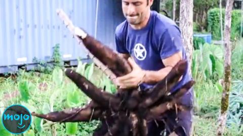 Trivia Game - Top 10 Exotic Foods from around the World