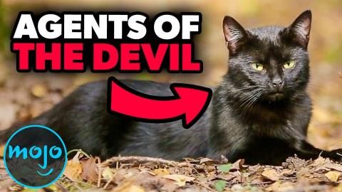 Top 10 Dumbest Superstitions