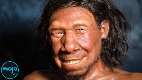 Top 10 Prehistoric Life Documentary Miniseries