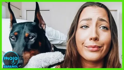 ¡Top 10 Videos de YouTube que Más Ofendieron!