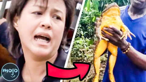 Top 20 Giant Creatures on Earth