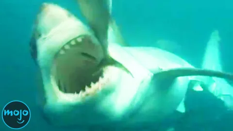 Top 30 Greatest Animal Predators