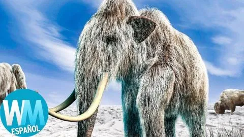 ¡Top 10 ANIMALES EXTINTOS que los Científicos Quieren RESUCITAR!