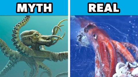 top 10 myths that are true