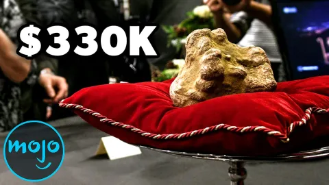 Top 10 Most Expensive Foods In The World