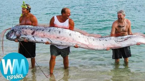 ¡Top 10 ANIMALES MÍTICOS Que Resultaron Ser REALES!