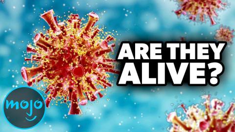 Trivia Game - Top 10 Worst Viruses