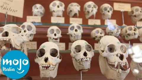 Top 10 GRANDI SCOPERTE SCIENTIFICHE del DECENNIO!