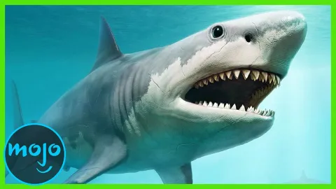 ¡Top 20 Animales EXTINTOS!
